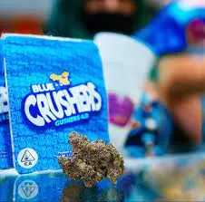 BUY Blue Crushers Gushers Strain