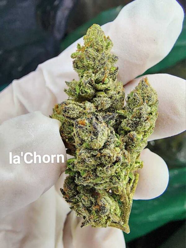 La Chron Strain | Big Al’s