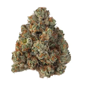 Khalifa kush