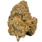 Weed Strains